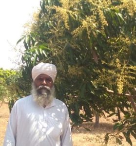 akal-farm-pic-3--279x300.jpg