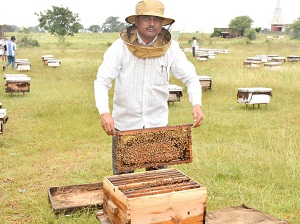 Dinkar Patil with honey box.jpg