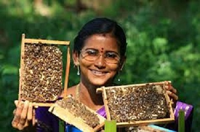 Vibis Natural Bee Farm - Ms. Josephine Selvaraj - 1.jpg