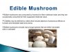 mushroom-cultivation-10-638.jpg