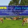 dsdairyfarm